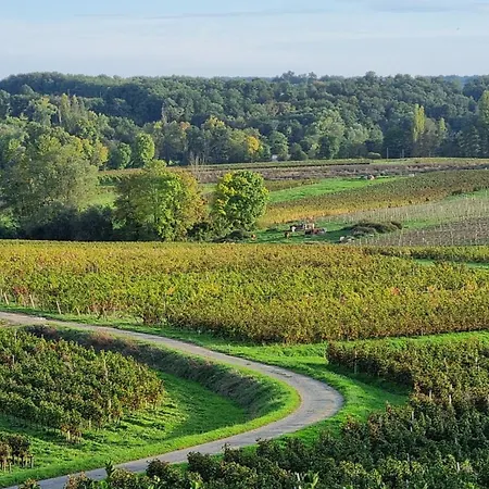 Ferienhaus Domaine De Bayens - Piscine Privee Puisseguin